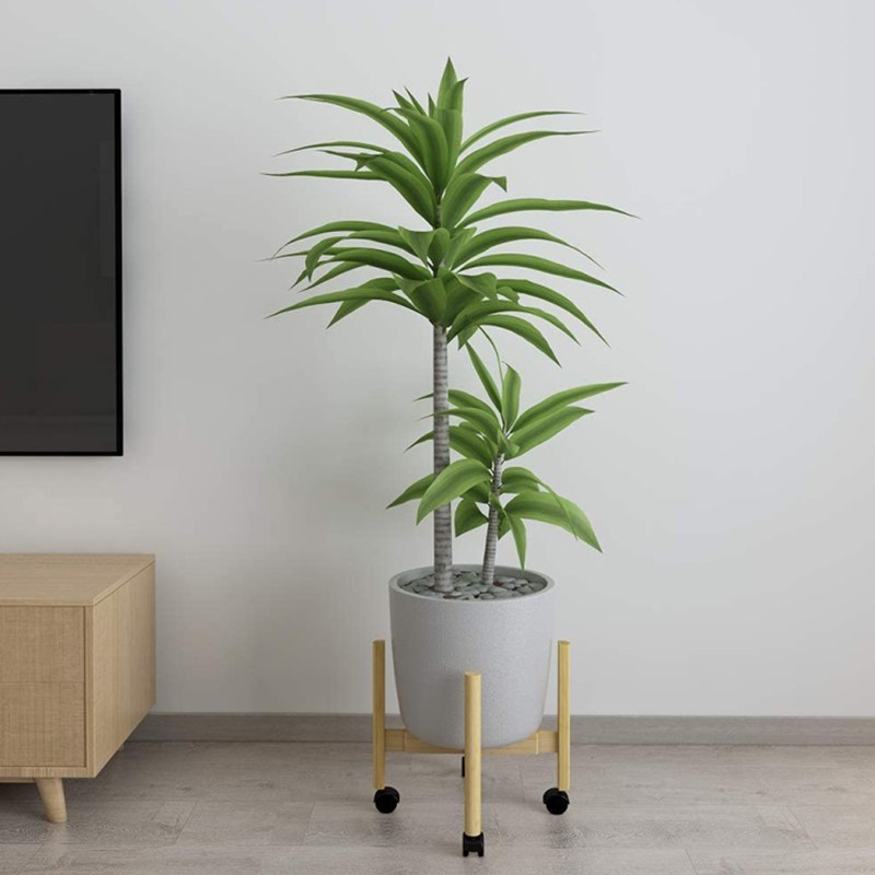 Bamboo sto （Extendable plant)